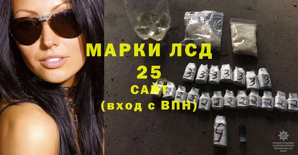 ГАЛЛЮЦИНОГЕННЫЕ ГРИБЫ Сясьстрой